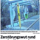 Vandalentour wird für 14-Jährigen sehr teuer