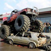 Stunt- und Actionshow