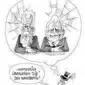 Wähler in Sorge!