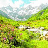 Genusswandern im Süden Kärntens