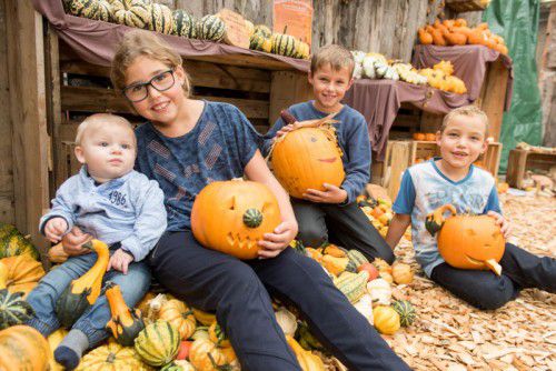 Auf dem Hof von Andreas Kalb gibt es für Leon (acht Monate), Nina (8), Nico (9) und Noah (7) einiges zu entdecken.  Fotos: VN/Stiplovsek