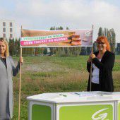 Keine Steuervermeider in Lustenau