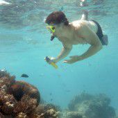 Millionen für Schäden am Great Barrier Reef
