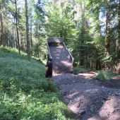 Forststraße auf Lorünser Berg wurde saniert