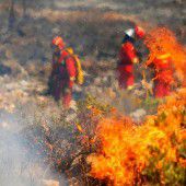 Waldbrände an Costa Blanca unter Kontrolle