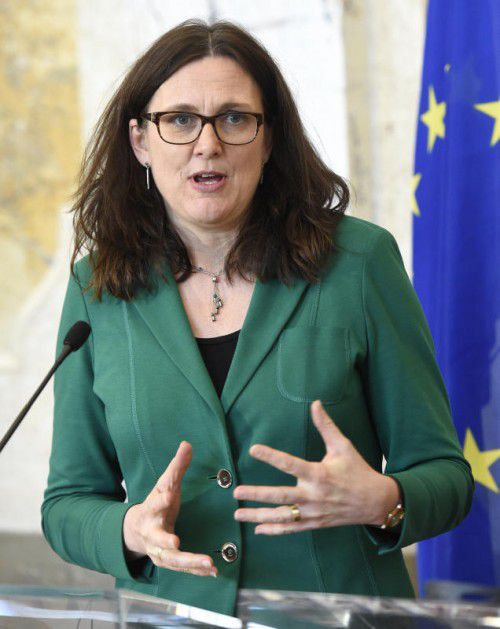 EU-Kommissarin Cecilia Malmström sprach bei der Enquete. apa