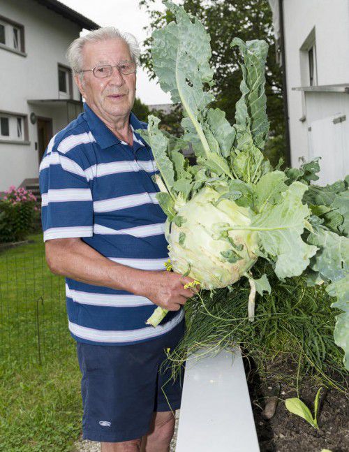 Josef Wagner mit dem 82 cm großen Kohlrabi. Foto: ES