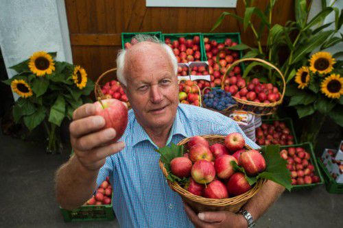 Manfred Nägele ist stolz auf seine Äpfel.  Foto: VN/Steurer