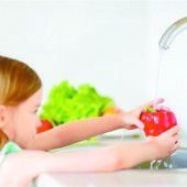 Sparen mit Grauwasser