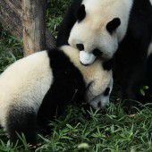 Herumtollen mit Mama