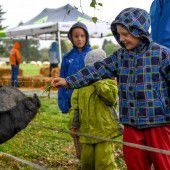 Tierfest als nasse Angelegenheit