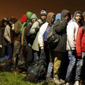 Illegales Lager geräumt