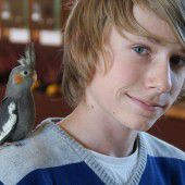 Eine große Vogelschau