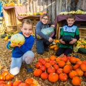 Bunte Kürbisvielfalt