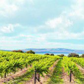 Australiens jüngstes Weinbaugebiet