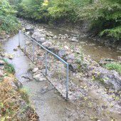 Bürgerforum: Wassertrete ab Frühjahr in Takt