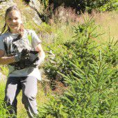 Junge Waldexperten aus dem Montafon