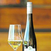 Sortenspiel 2015 zum Tafelspitz
