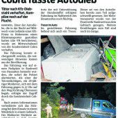 Profidiebe klauten einen Mercedes mit Anhänger