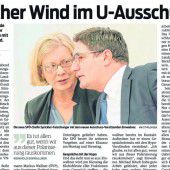 Der Hypo-U-Ausschuss soll dieses Jahr schon wieder zu Ende sein