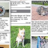 10 Punkte: Kleinanzeigen einfach online aufgeben