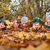Den Herbst und seine bunten Seiten genießen