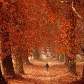 Indischer „Indian Summer“
