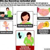 Die Noroviren sind wieder unterwegs