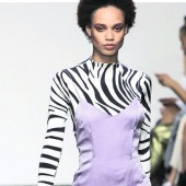 Zebraprint