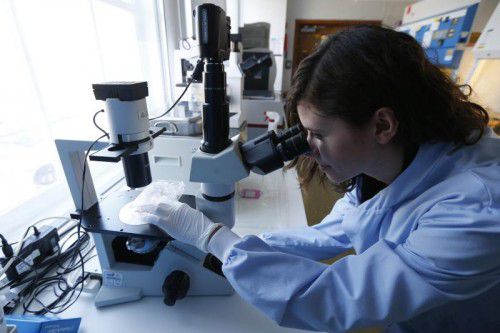 Bestimmte molekularbiologische Merkmale eines Tumors können über die Wirksamkeit einer medikamentösen Krebstherapie entscheiden. RTS