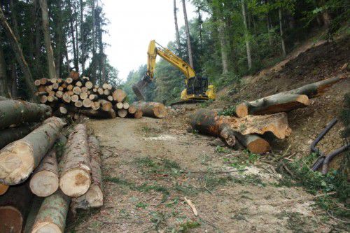 Das Projekt „Steinschlagsicherung Klausmühle-Klausberg“ in Lochau ist im Gange. Die Arbeiten werden mehrere Monate dauern. Foto: bms
