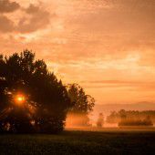 40-Jahr-Feier: „Rheindelta, ein Juwel auf Zeit?“