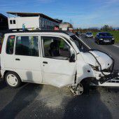 Autofahrer (60) von seinem Hund abgelenkt