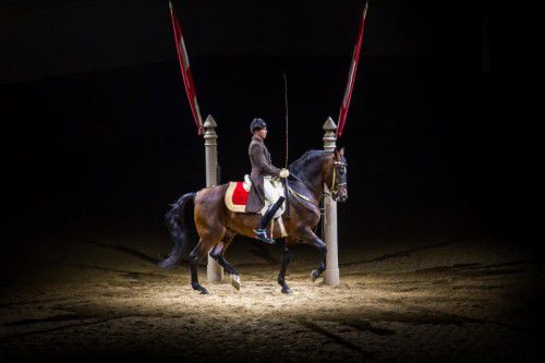Der neue Lichtkegel verfolgt das Pferd auf Schritt und Tritt. Das System kann voraussagen, wohin der Lipizzaner als Nächstes geht.  Zumtobel