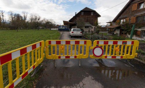 Der Putenhof in Hard ist leer. Der gesamte Tierbestand wurde am Samstag gekeult und entsorgt. Foto: stiplovsek