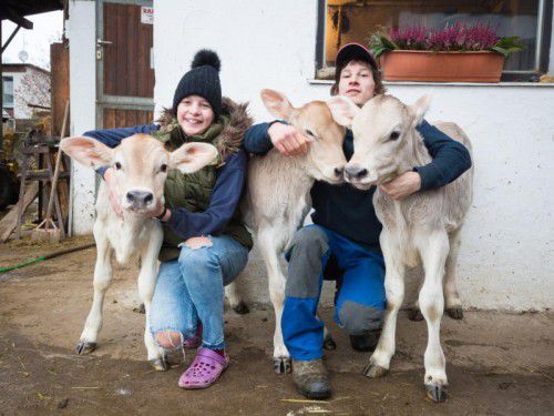 Die angenehmen Temperaturen im Freien genießen, so lautet auch die Devise von Familie Haag aus Lauterach. Foto: Sams