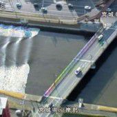 Fukushima-Beben weckt dunkle Erinnerungen