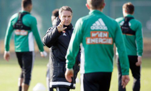 Erste Anweisungen von Ex-Altach-Trainer Damir Canadi an seine neuen Spieler des SK Rapid Wien. Foto: apa