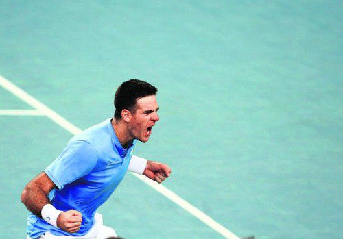 Freude nach dem Ausgleich bei Juan Martin Del Potro. Foto: reuters