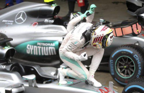 Jubelpose von Lewis Hamilton nach dem Sieg in Interlagos. Foto: ap