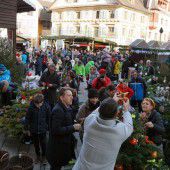 Christbaumversteigerung