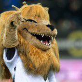 Land freut sich mit Fußball-Helden
