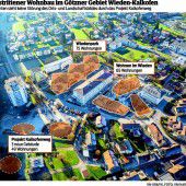Gutachten sieht Ortsbild Wieden nicht in Gefahr