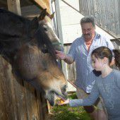 Zehn Jahre Einsatz für Tiere in Not