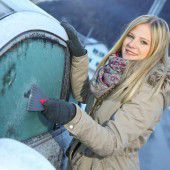 Noch kein Gespür für Schnee