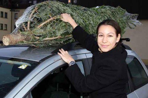 Beim Transport von Christbäumen mit dem Fahrzeug sind einige Vorschriften zu beachten. Foto: ÖAMTC