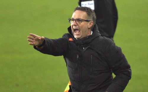 Damir Canadi kehrt als Altachs Gegner in die Cashpoint Arena zurück. Wie schwer die Aufgabe für Rapid wird, ist im klar. Foto: gepa