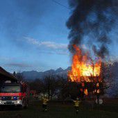 Hunde aus dem Feuer gerettet