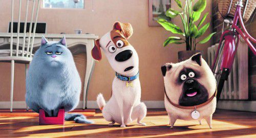 Der Animationsfilm „Pets“ hat in diesem Jahr schon 540.605 Besucher in die Kinos gelockt. Foto: Universal