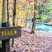 Appalachian Trail in Georgia